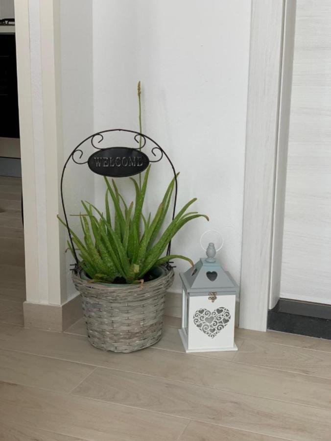 Apartment Salov Trogir Quarto foto